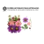 13 Flores Secas Prensadas Para Resinas Epoxi Uv Mixtas - comprar online