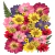 Flores Secas Prensadas Naturales | Packs por Color para Resina Epoxi, Bijouterie y Velas - comprar online