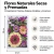Flores Naturales Secas y Prensadas · Crisantemo GRANDE, Ásteres Violetas y Cosmos - comprar online