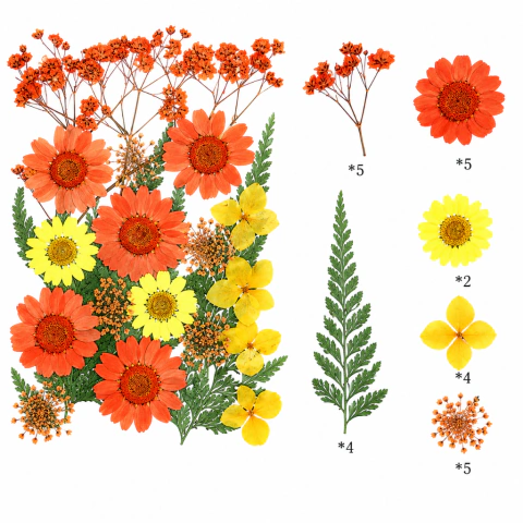 Flores Secas Prensadas Naturales | Packs por Color para Resina Epoxi, Bijouterie y Velas