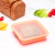 CONTENEDOR PARA ALIMENTOS SALMON 600 cc - comprar online