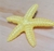 Presilha estrela do mar amarelo