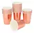 6 Vasos Rosa Gold en internet