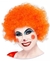 Pelucas Afro Rulos