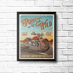 PLACA BORN TO BE WILD na internet