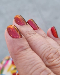 DVW - Max - loja online