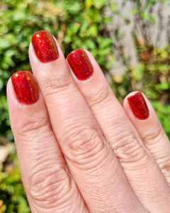 DVW - Max na internet