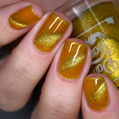 Imagem do Gold Lamé