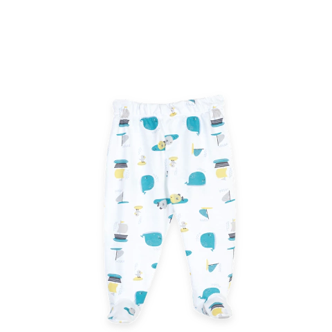 Ranita media estación ballenas verdes