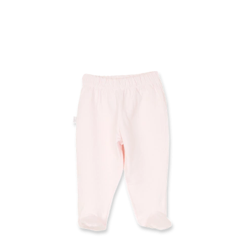 Ranita desagujada rosa