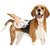 Baño Seco Para Perros Paños Jabonosos Wash Pet Paño Pet® X 5