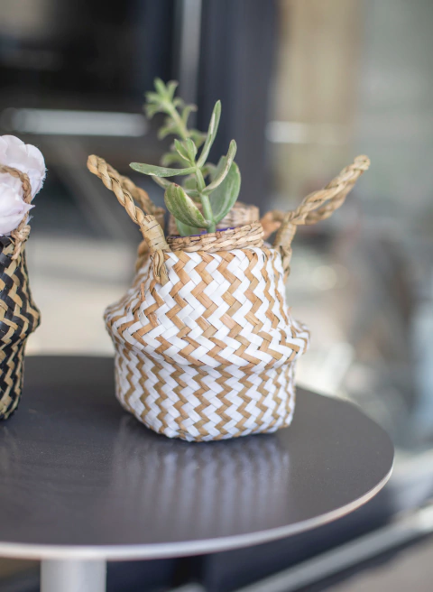 Canasto CHIC - comprar online