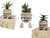 Maceta Moustache - tienda online