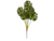 Plantas Monstera (Varios modelos) - comprar online