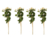 Planta Eucalipto en internet