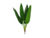 Planta Equator en internet