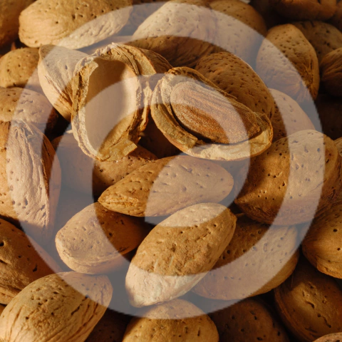 AMENDOA COM CASCA KG