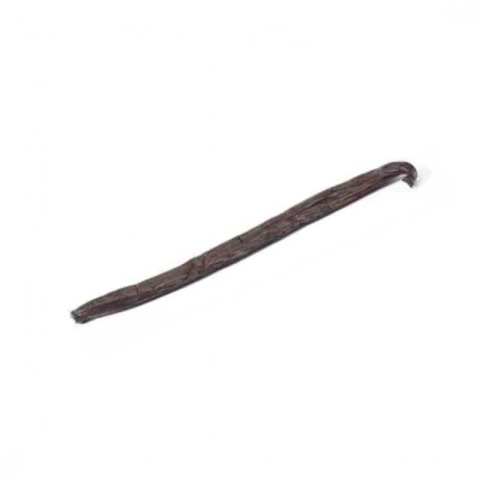 FAVA DE BAUNILHA na internet