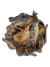 FUNGHI SECO - KG - comprar online