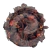 HIBISCO FLORES - loja online