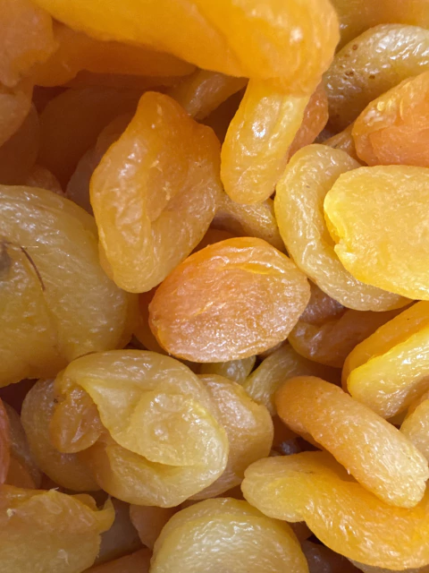 DAMASCO TURCO - comprar online