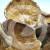 Imagem do SHIITAKE SECO INTEIRO