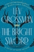 The Bright Sword: A Novel of King Arthur