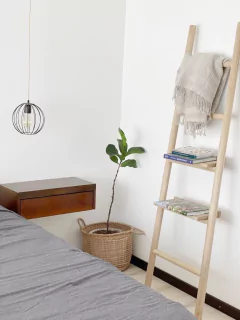 Escalera/biblioteca con estantes