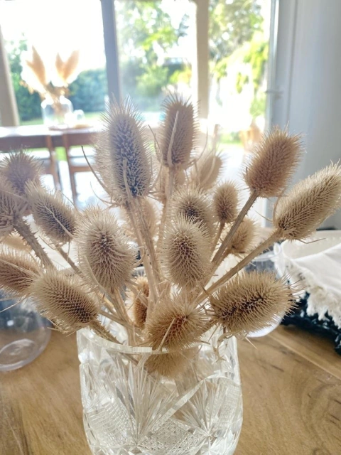 Ramo de flores abrojos - comprar online