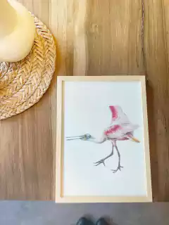 Imagen de Cuadro ilustracion