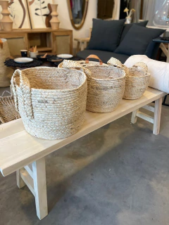 Canasto Dan en internet