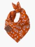 Bandana Pet - Seychelles