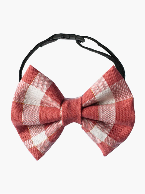 Gravata Pet - Praga ECO