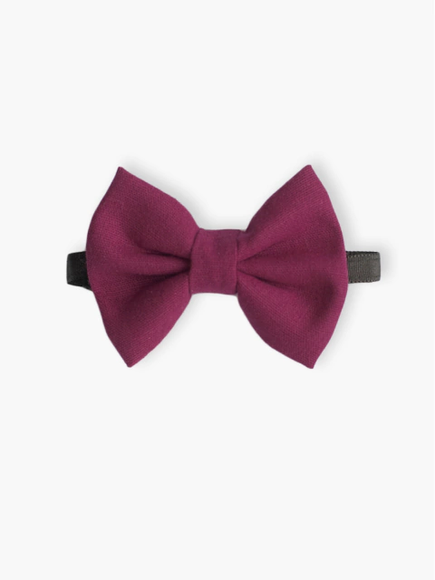 Gravata Pet - Salamanca - comprar online