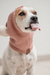Gorro de Tricot Pet - Sophie - comprar online