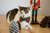 Gravata - Christmas Tree - comprar online