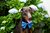 Gravata Blue Spot - comprar online