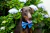 Gravata Blue Spot - comprar online