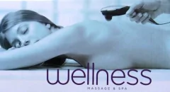 Masajeador Corporal Body Pleasure Gama Hm-220 Spa Relax - tienda online