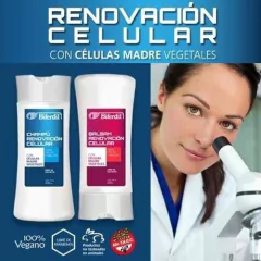 Shampoo + Balsam Biferdil Renovacion Celular Libre Sulfatos en internet