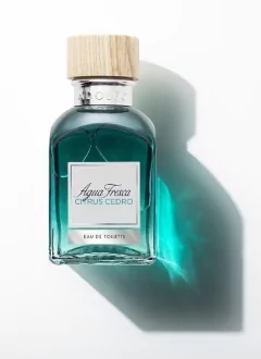 Perfume Agua Fresca Citrus Cedro Adolfo Dominguez 120ml - Tienda Ramona