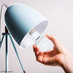 Lampara Led 8w Luz Blanca Rayovac 800lm Pack 6un - tienda online