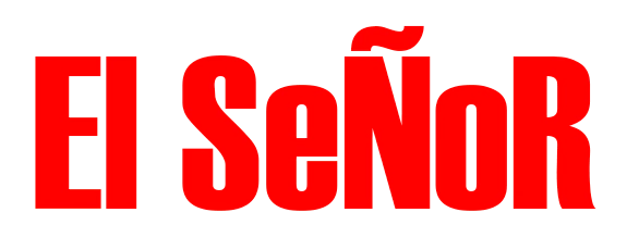 EL SEÑOR REMERAS