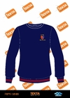 BUZO COLEGIO PABLO BESSON sin cambio - comprar online