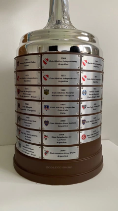 COPA LIBERTADORES - Tamaño y peso OFICIAL - Colección RP