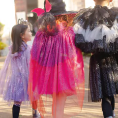 capa-encanto-laranja-minibossa