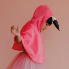 capa-flamingo-mini-bossa