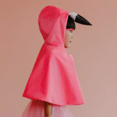 capa-flamingo-mini-bossa