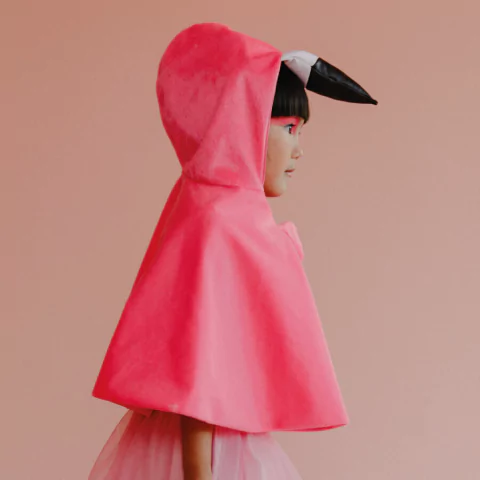 capa-flamingo-mini-bossa