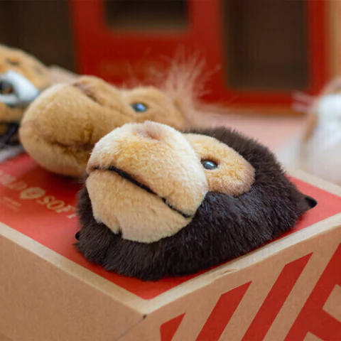 jungle-box-com-3-mini-cabecas-wild-soft